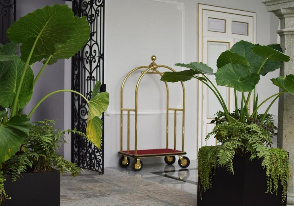 Casa Hidalgo Hotel Boutique Oaxaca Dış mekan fotoğraf